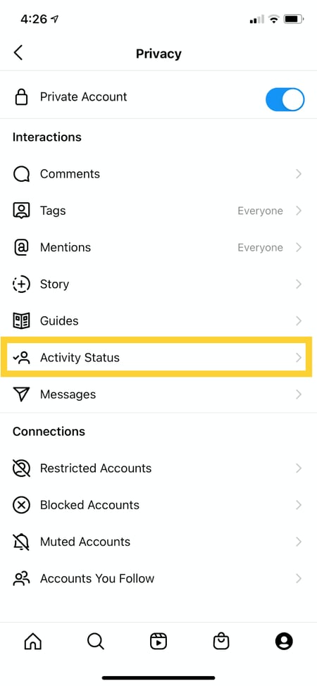 Instagram activity status setting inside Privacy settings on the app