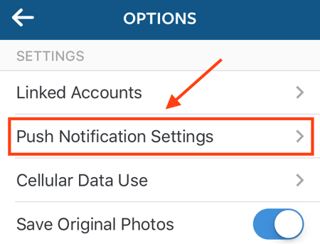 instagram-push-notification-settings.png